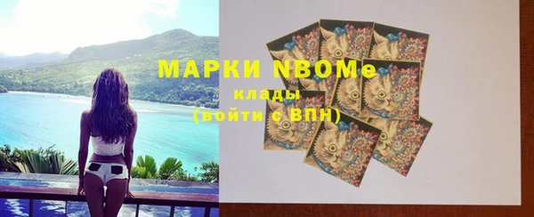 хмурый Алексин