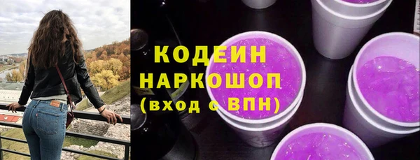 хмурый Алексин