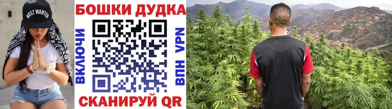 дарнет шоп  Шарья  Шишки марихуана конопля 